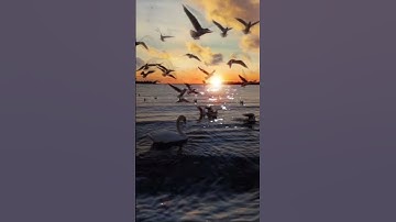 من روائع التلاوة (قال لن أرسله معكم حتى تؤتون موثقا من الله) #قرآن_كريم_راحة_نفسية#اكسبلور #explore