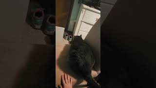 He just wanted to be involved