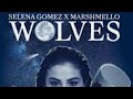 Serena Gomez &amp; Marshmello - Wolves (1 Hour Version)