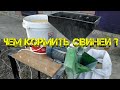 Приготовление корма для свиней. Кормление поросят ✅