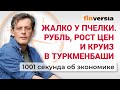 Жалко у пчелки. Рубль, рост цен и круиз в Туркменбаши. Экономика за 1001 секунду