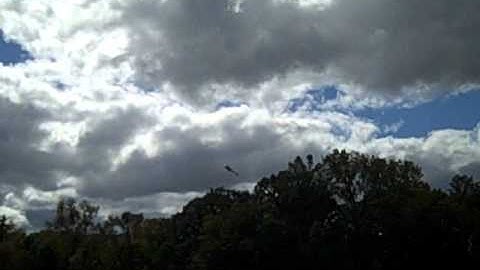 Align T-Rex 250 Crash.