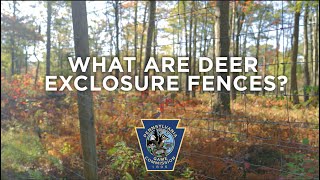 What Are Deer Exclosure Fences?