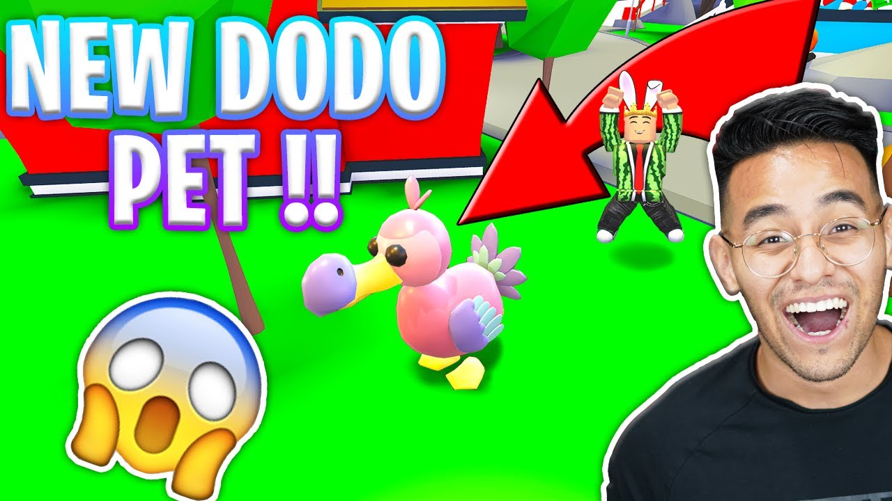 New Dodo Bird Pet Adopt Me Roblox Youtube - dodo bird roblox