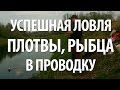 ПЛОТВА и РЫБЕЦ на ПОПЛАВОК. ЛОВЛЯ в ПРОВОДКУ на МАЛЫХ РЕКАХ с НОРМУНДОМ