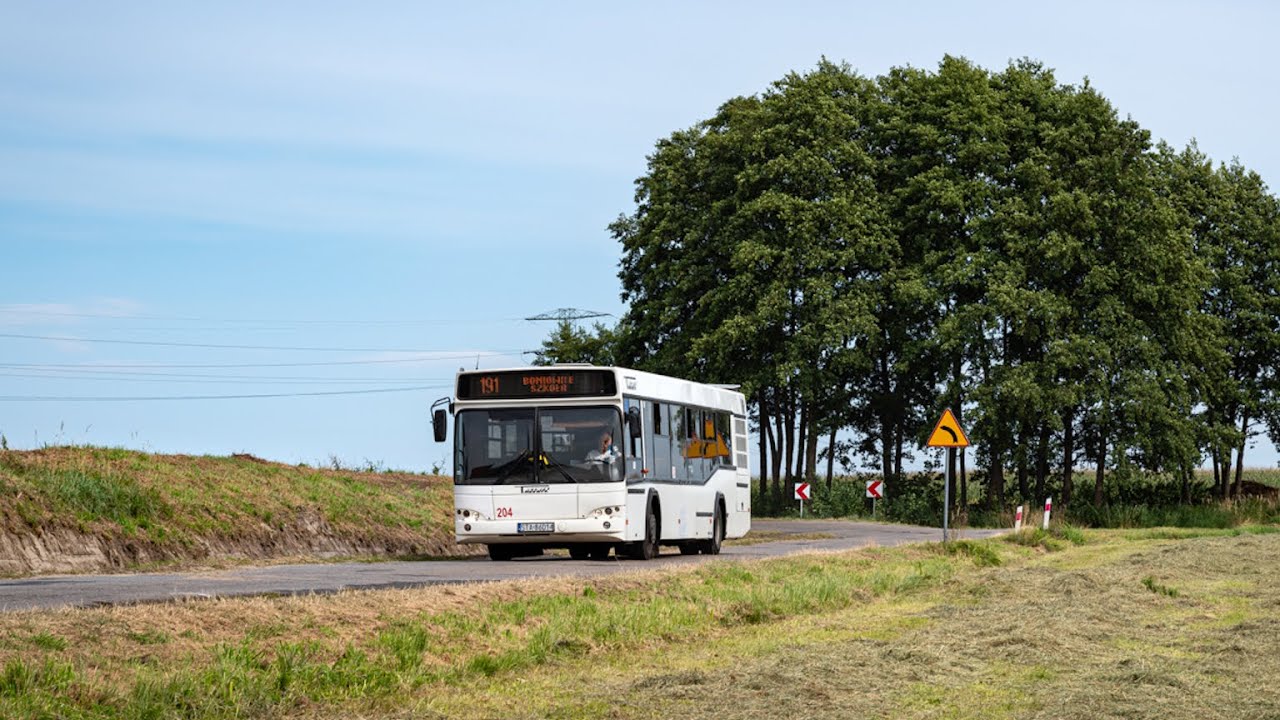 MAZ 103.465 #204 - Rzemyk Zbrosławice (Przejazd, 191) [$]