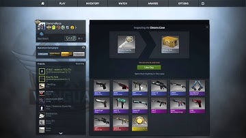 CS GO Choma Case Hype (Counter Strike Global Offenisve)