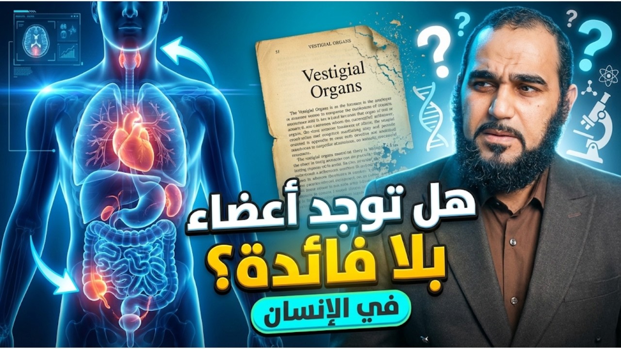 هل توجد أعضاء بلا فائدة في الإنسان؟  | تحصين العقل المسلم | د هيثم طلعت | 14