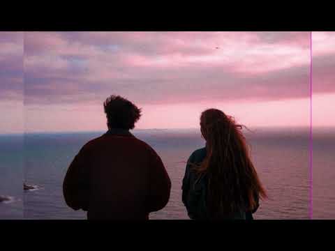 【和訳】The Autocollants - Apple Vines (Lyrics)