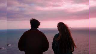 【和訳】The Autocollants - Apple Vines (Lyrics)