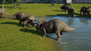 Triceratops VS Triceratops Jurassic World Evolution 100% Genome Gen...