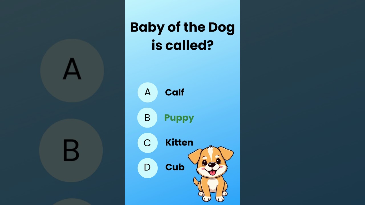 Baby of a Dog 🐶 | Easy GK Question for Kids | Mini Minds GK