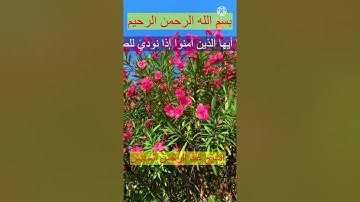 أواخر سورة الجمعة/ الشيخ عبد الرحمن السديس
