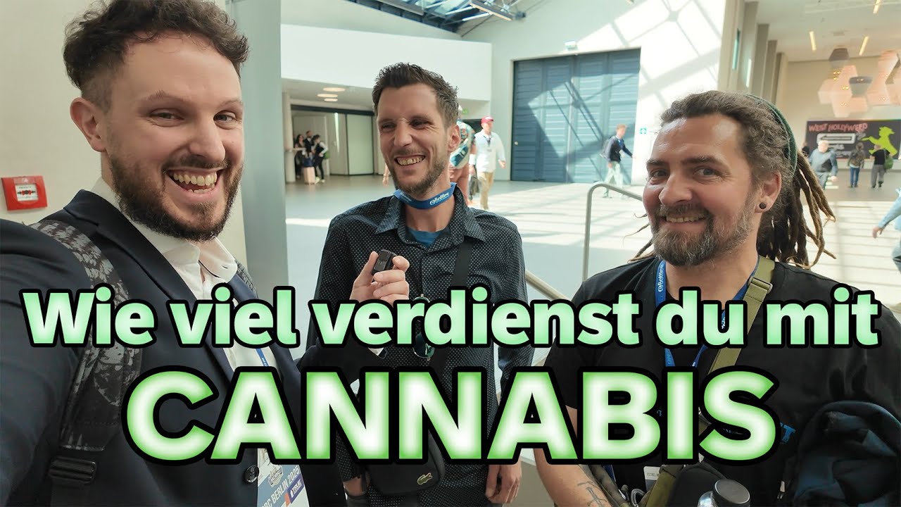 Wie viel verdienst du mit Cannabis?