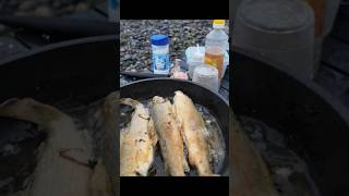 #горнаярыбалка#хариус#жарка