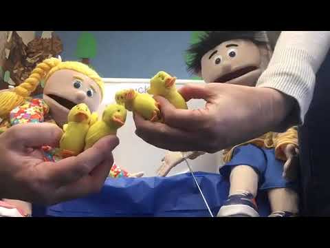 Quackulator Quack-ulator practice! - YouTube