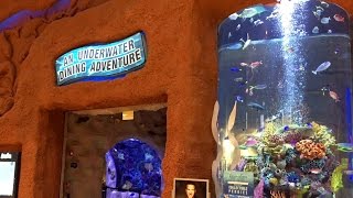 Opry Mills Aquarium Restaurant | Nashville Tennessee | 200,000 Gallon Salt Water Aquarium