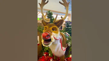 Deer singing Jingle bells #shorts #christmas #jinglebells #animals #deer #toys