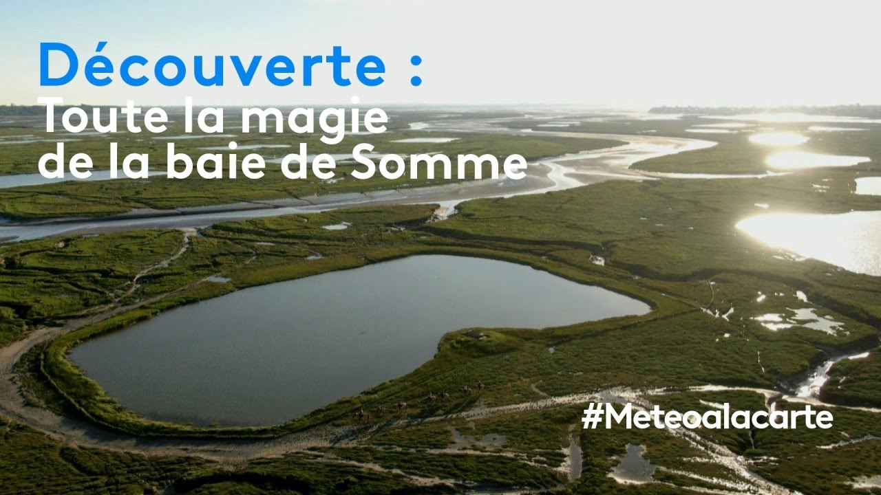 Découverte : toute la magie de la baie de Somme