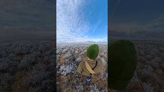 Охота на Зайца #зайц #заяц #охотник #охота #hunter #hunters #hunting #live #life #vibe #vibes #your