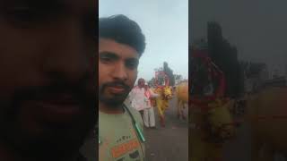 Bail Mela Dhoki Bajar Usmanabad