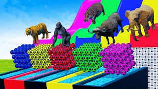 Long Slide Game With Elephant Gorilla Buffalo Hippopotamus Tiger - 3d Animal Crossing Fountain Game