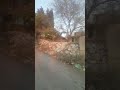 بيت الحجة نجلاء
