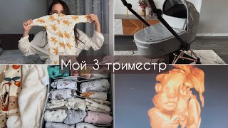 : VLOG / 33   /  /  /  Cybex /    