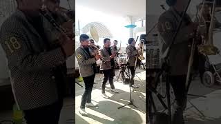 tema inedito el telele