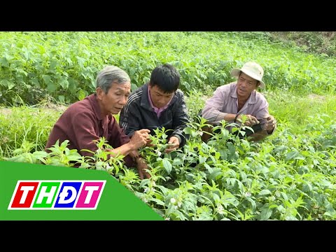 Video: Làm vườn trong Điều kiện Hạn hán: Mẹo Làm vườn Trong Điều kiện Hạn hán