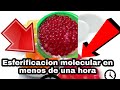 Esferificación molecular en menos de una hora