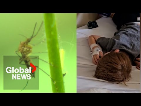 Ontario child hospitalized for over a month after mosquito bite