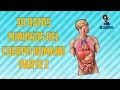 30 Datos Curiosos del Cuerpo Humano Parte 2