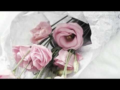 لابأس عليك