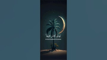 سورة الرعد آيه {٣١} #المصحف #quran #اكسبلور #لايك @ #اكسبلور #duet #islamicfestival #لايك #islamicho