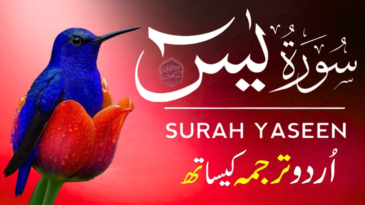 Surah Yaseen with Urdu Translation | Emotional Recitation by Qari Mansoor Ghaznavi | Ep023