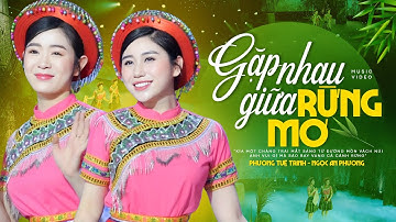 GẶP NHAU GIỮA RỪNG MƠ - Phương Tuệ Trinh ft Ngọc An Phương | Tuyệt Đỉnh Song Ca Hay Mê Mẩn