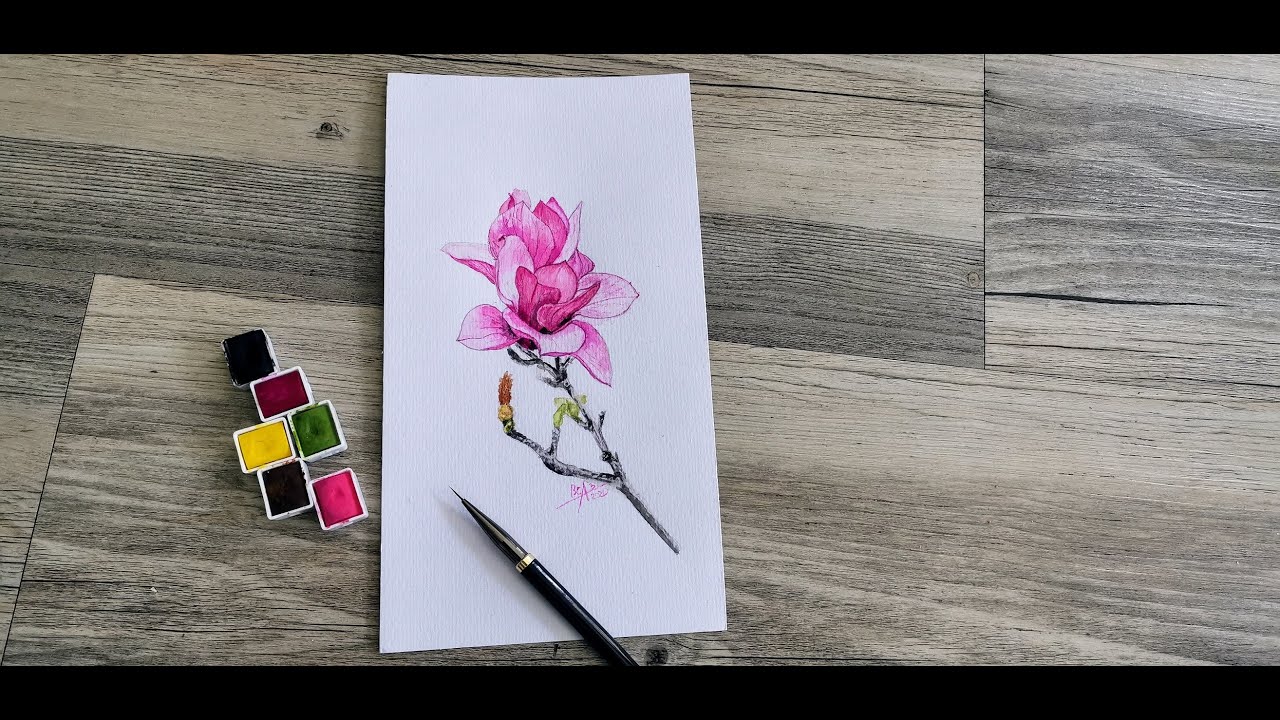 How to draw Magnolia flowers by watercolor - Cách vẽ Hoa Mộc lan bằng màu  nước - YouTube