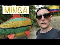 Waterfall Hiking in MINCA | COLOMBIA | RTW Trip, Vlog30