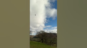 Power Loop Easy Acro Move | DJI Avata 2 @DJI #dji #drone