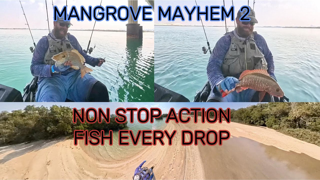 MANGROVE MAYHEM 2 NON STOP ACTION FISH EVERY DROP