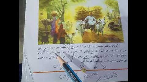 Grade 7 Sindhi lesson#7 lecture