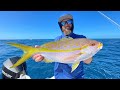 Accidentally catching giant yellowtail snapper  key west florida  catch clean cook