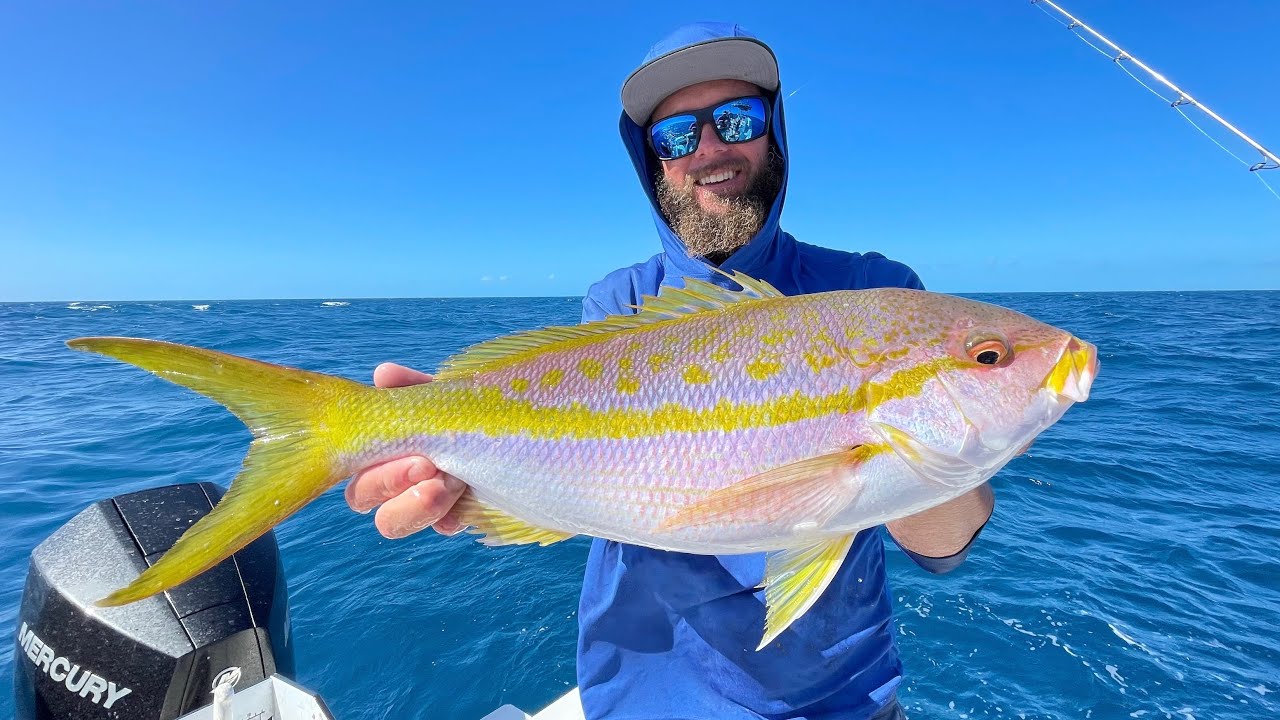 Accidentally Catching Giant Yellowtail Snapper Key West, Florida