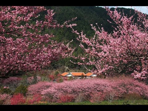 雪霸國家公園 武陵遊憩區