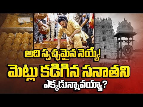 Where is Pawan Kalyan? | No Animal fat in TTD Ghee | Tirupati Laddu Row | Sakshi TV - SAKSHITV