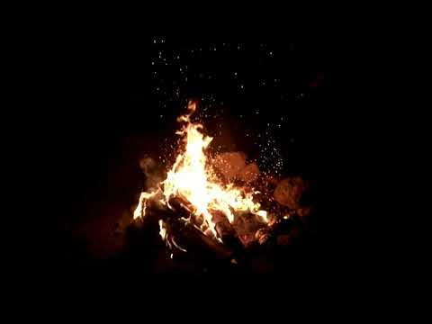 米津玄師 恋と病熱 歌ってみた