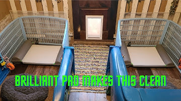 AKC BrilliantPad Demo Video