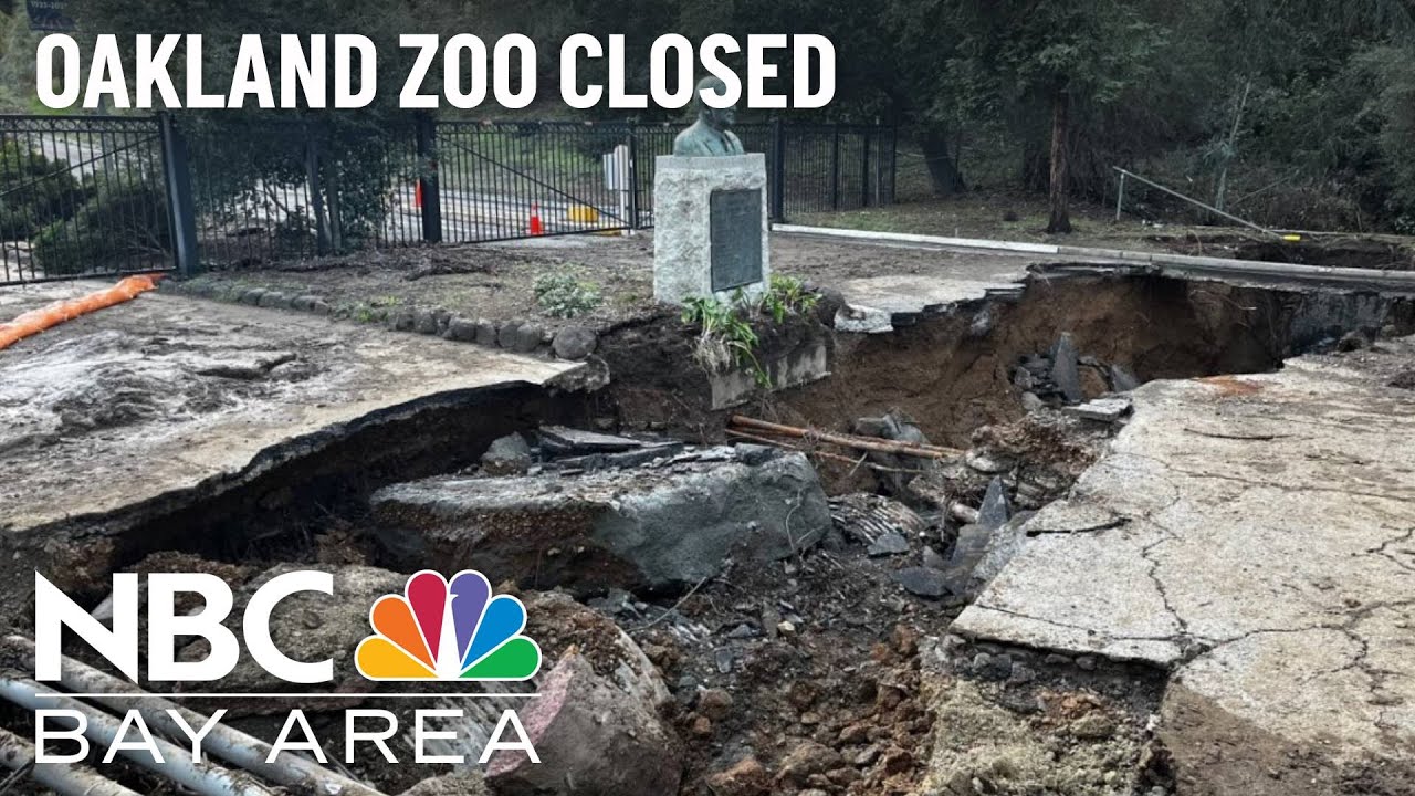 Oakland Zoo Closed Through At Least Jan. 17 Due To Sinkhole