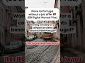 Move to Portugal without a job offer 🇵🇹